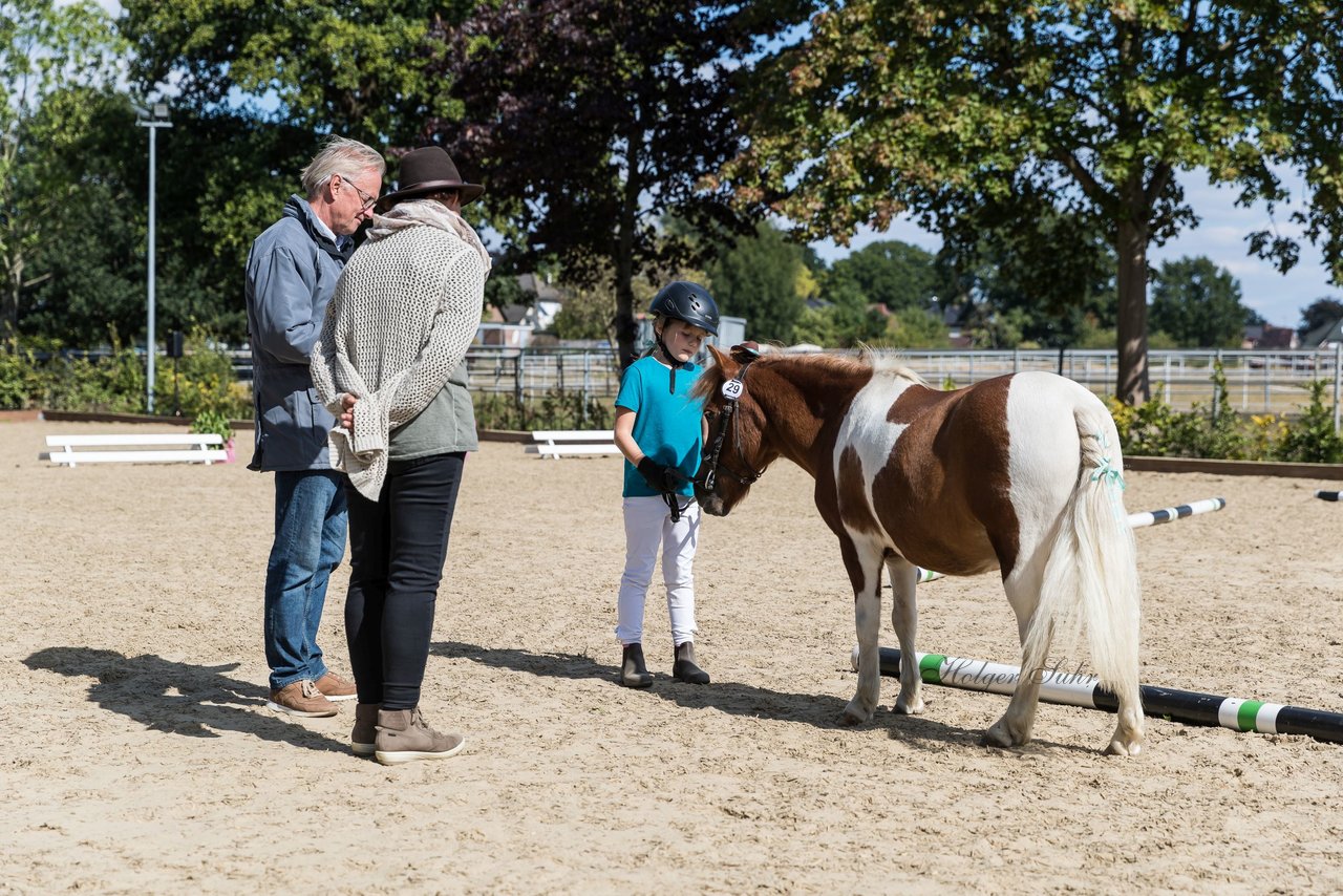 Bild 203 - Pony Akademie Turnier